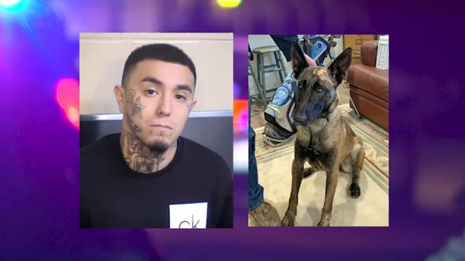 Man shot by Fresno police, accused of stabbing K9 identified