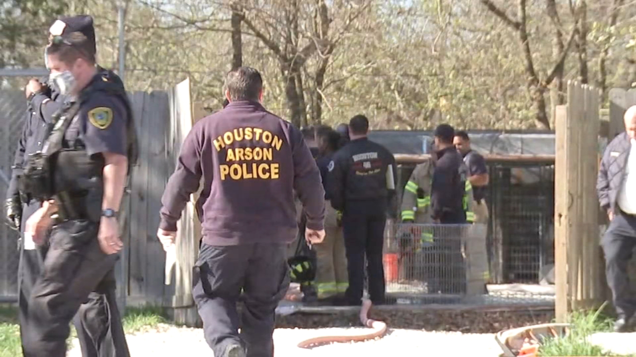 At least 10 dogs killed in SE Houston house fire