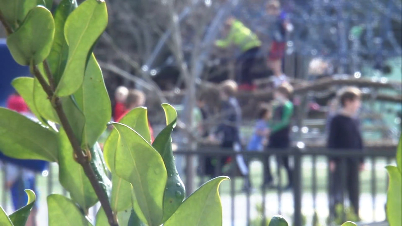81 students, 16 staff out sick with COVID in 3 Marin Co. schools