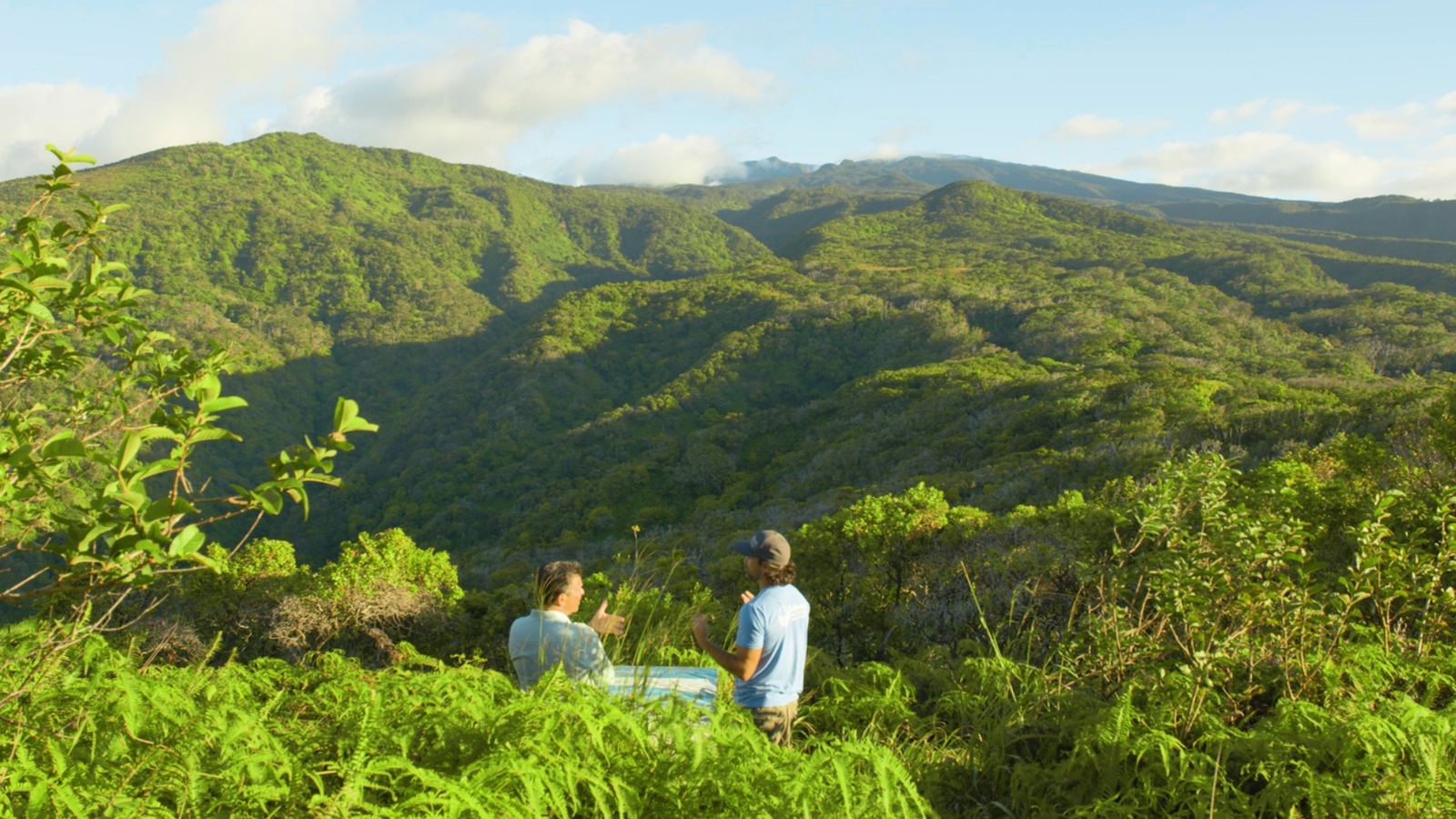 HeleWai Eco Tours explores Maui's peaceful, untouched Puʻu Kukui