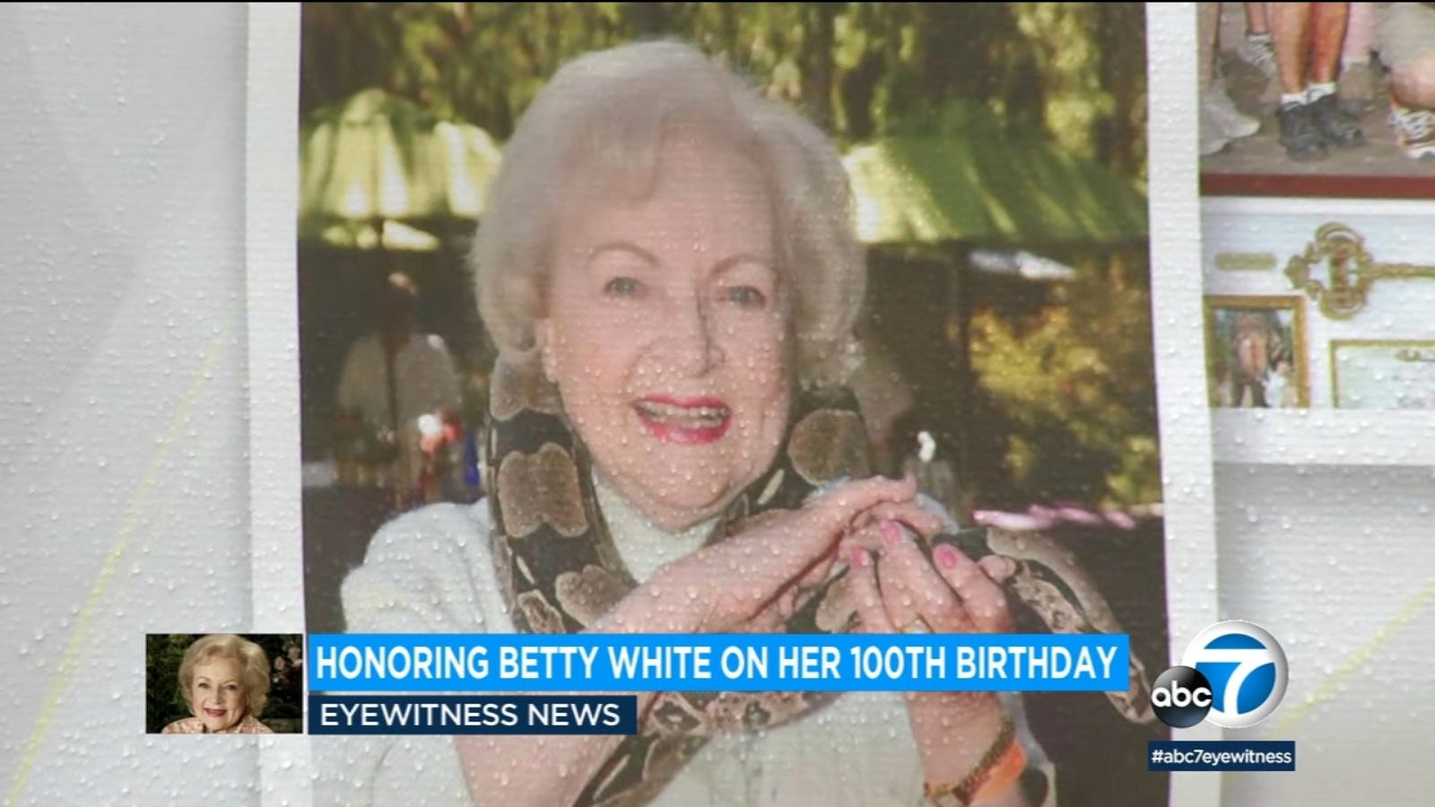 Betty White LA Zoo pays tribute to 'Golden Girl' star on what would