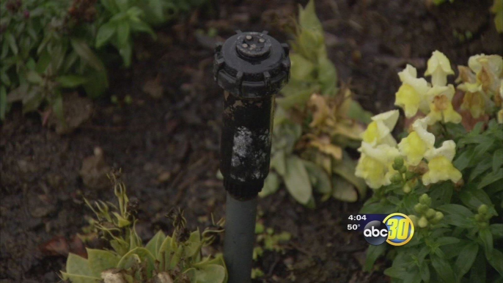 Fresno and Clovis urge residents to stop watering lawns in the rain