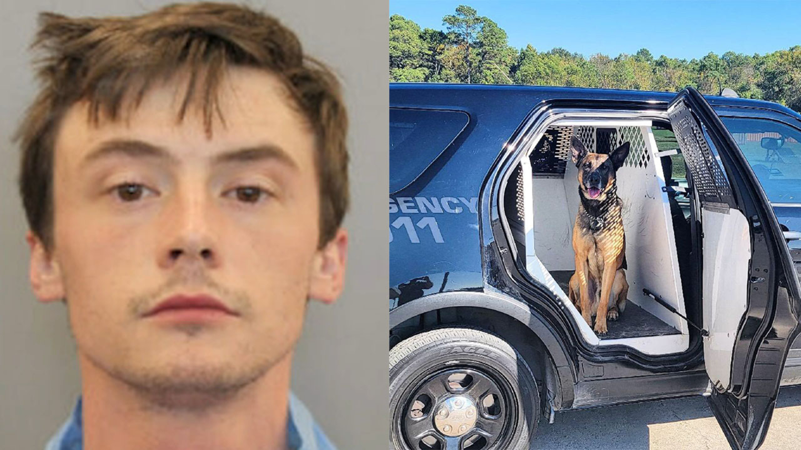 Houston crime: 26-year-old Ryan Smith accused of stabbing HPD K-9 Nate ...