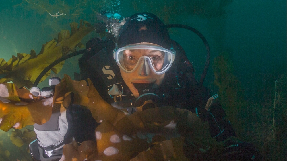 Going deep to save the ocean