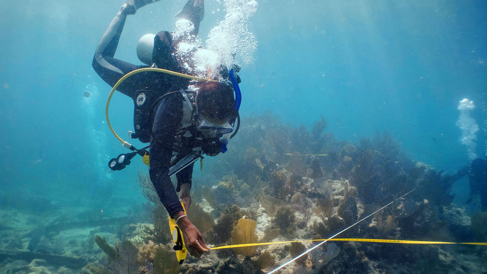 NatGeo debuts 'Into the Depths' podcast on search for slave shipwrecks