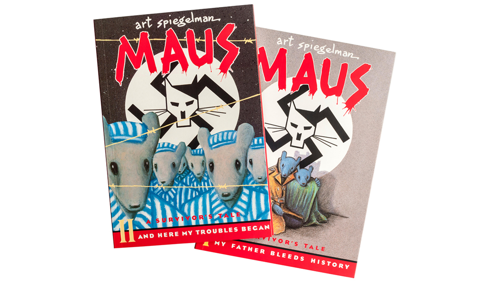 Pulitzer Prizewinning Holocaust book 'Maus' banned in school district