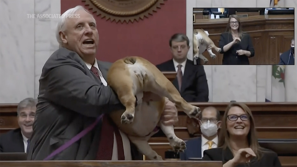 Gov tells Bette Midler to kiss dog's heinie, shows it