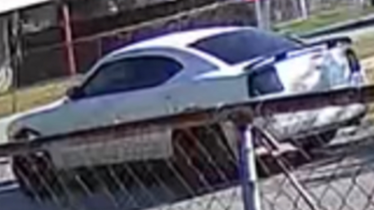 Woman found shot to death on side of road in east Houston