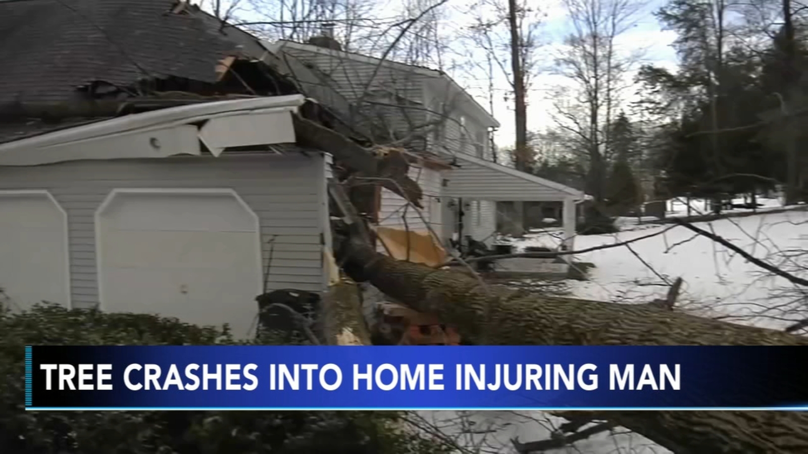'Lucky to be alive': Man survives after 150-foot tree falls on house in ...