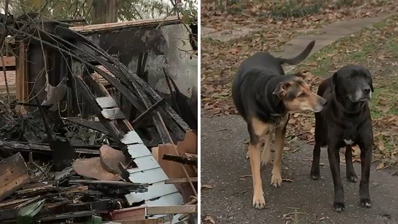 Pets missing after house fire was likely started by space heater