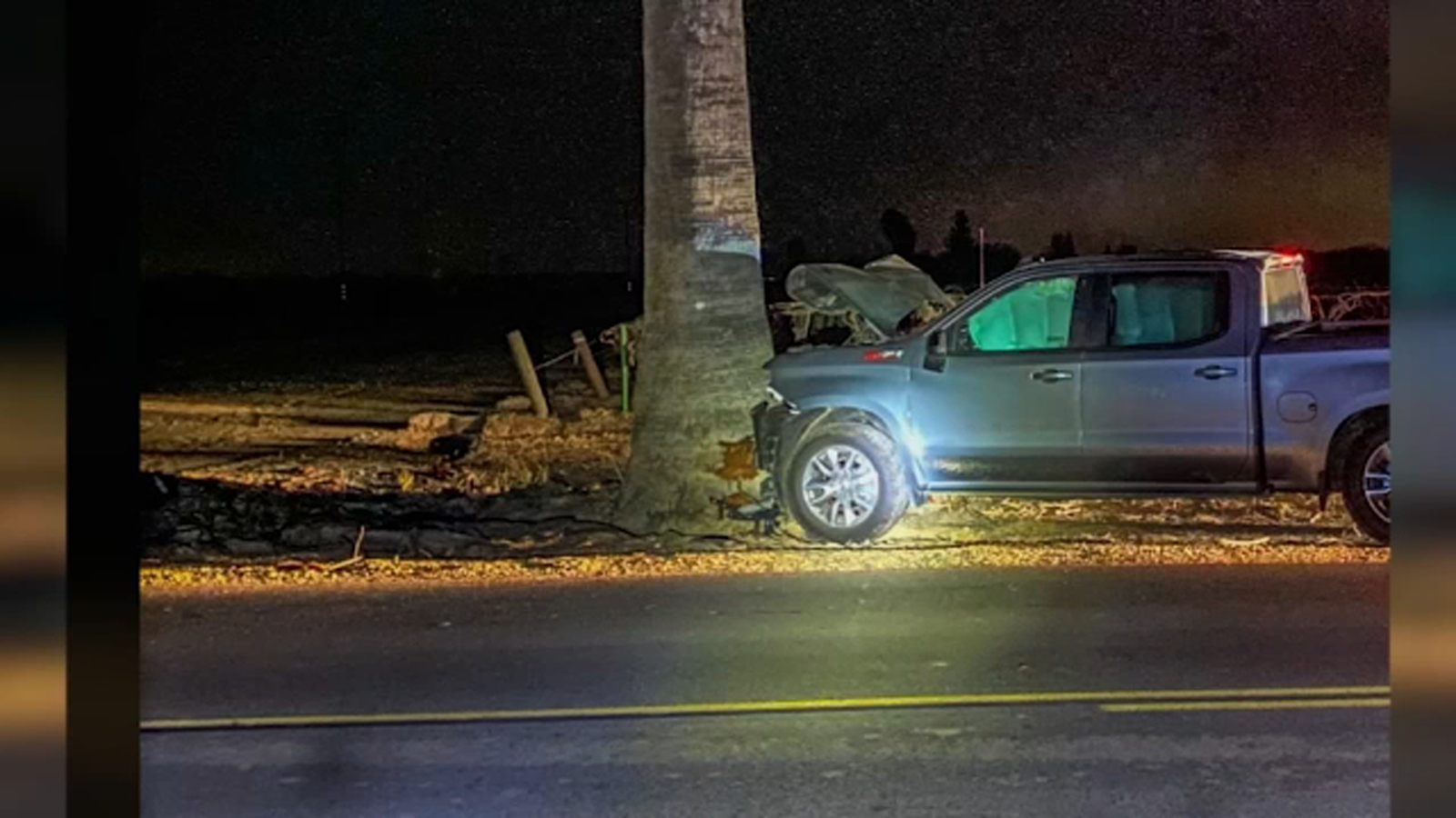 Driver killed after crashing into tree in Fresno County - ABC30 Fresno