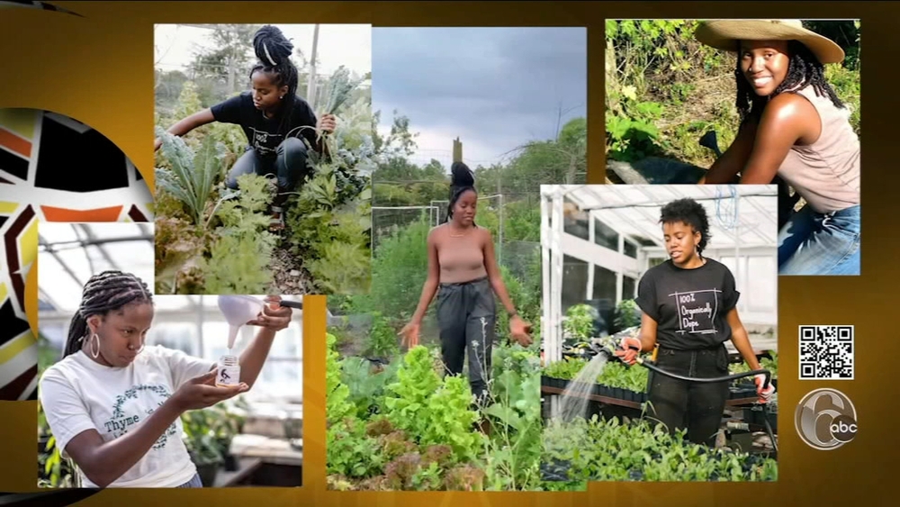 Young Black farmers sowing the seeds of farming's future