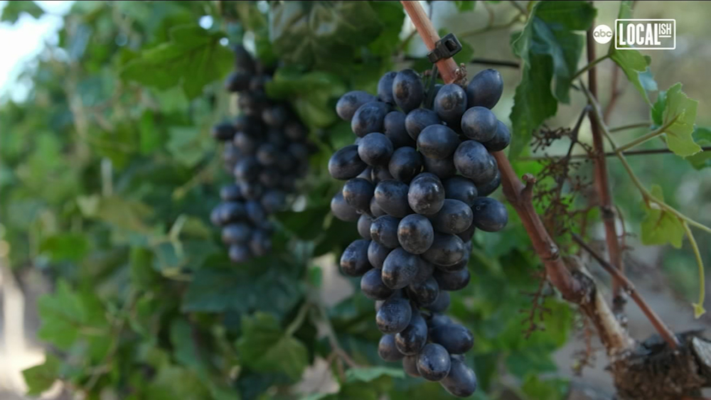 Agua Dulce Winery in SoCal is set of 'Promised Land'