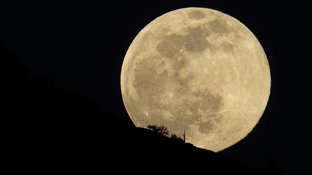 【R&B】 MAUTI - Full Moon 11570557_021622-cc-ap-full-