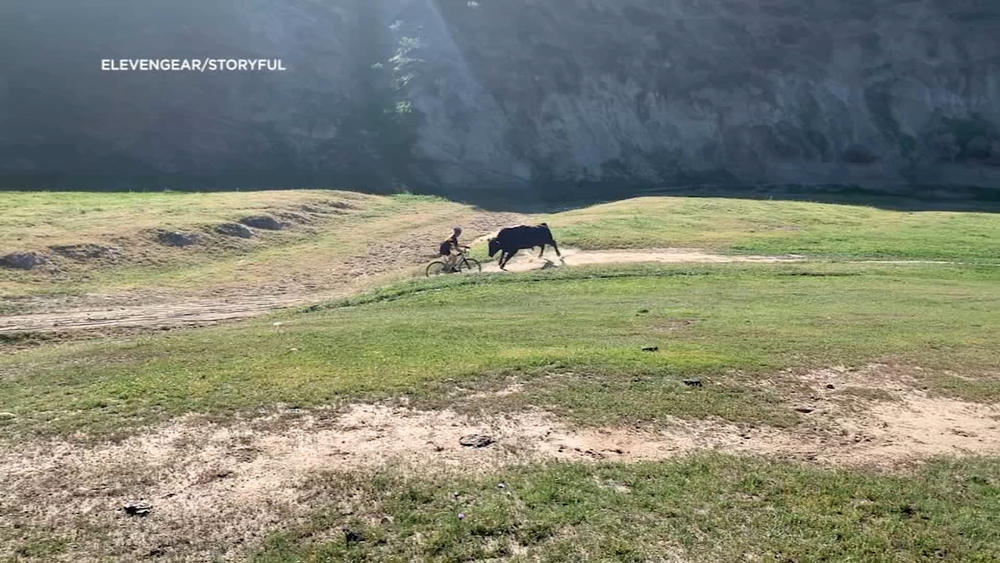 Bull attacks cyclists during race in Bakersfield