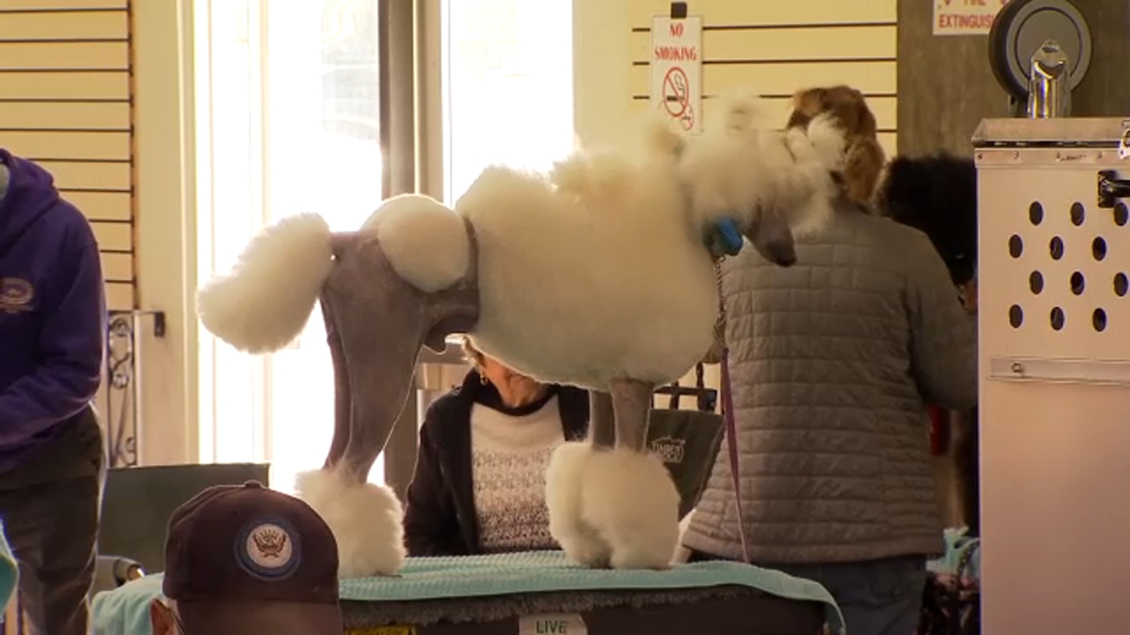 More than 1,700 pooches competing in Fresno dog show this weekend