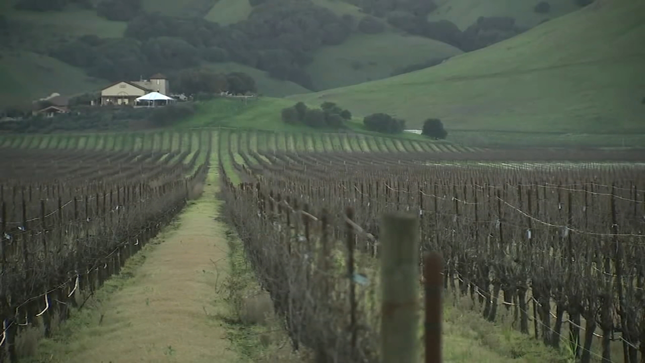 Fluctuating weather pattern creating concern for East Bay winery