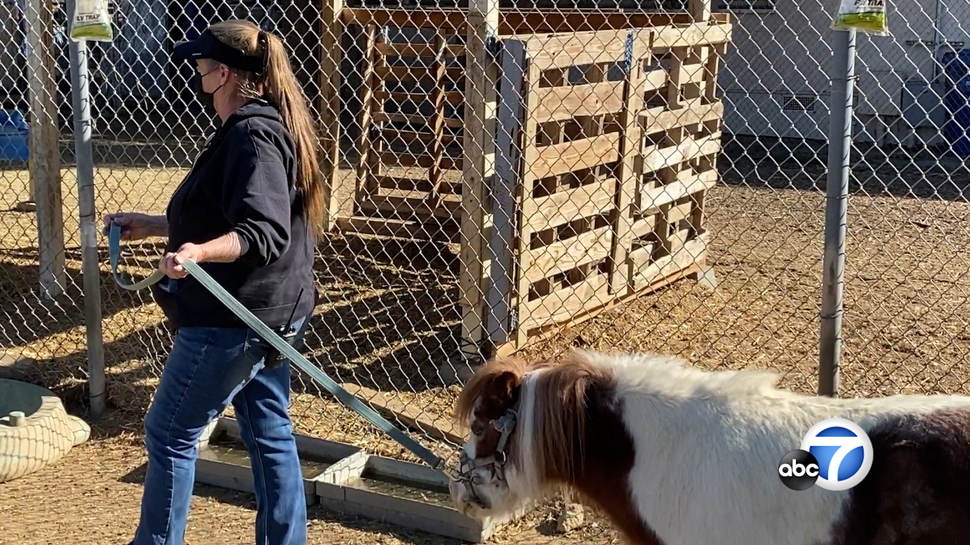 Van Nuys school farm has been helping students for 40 years