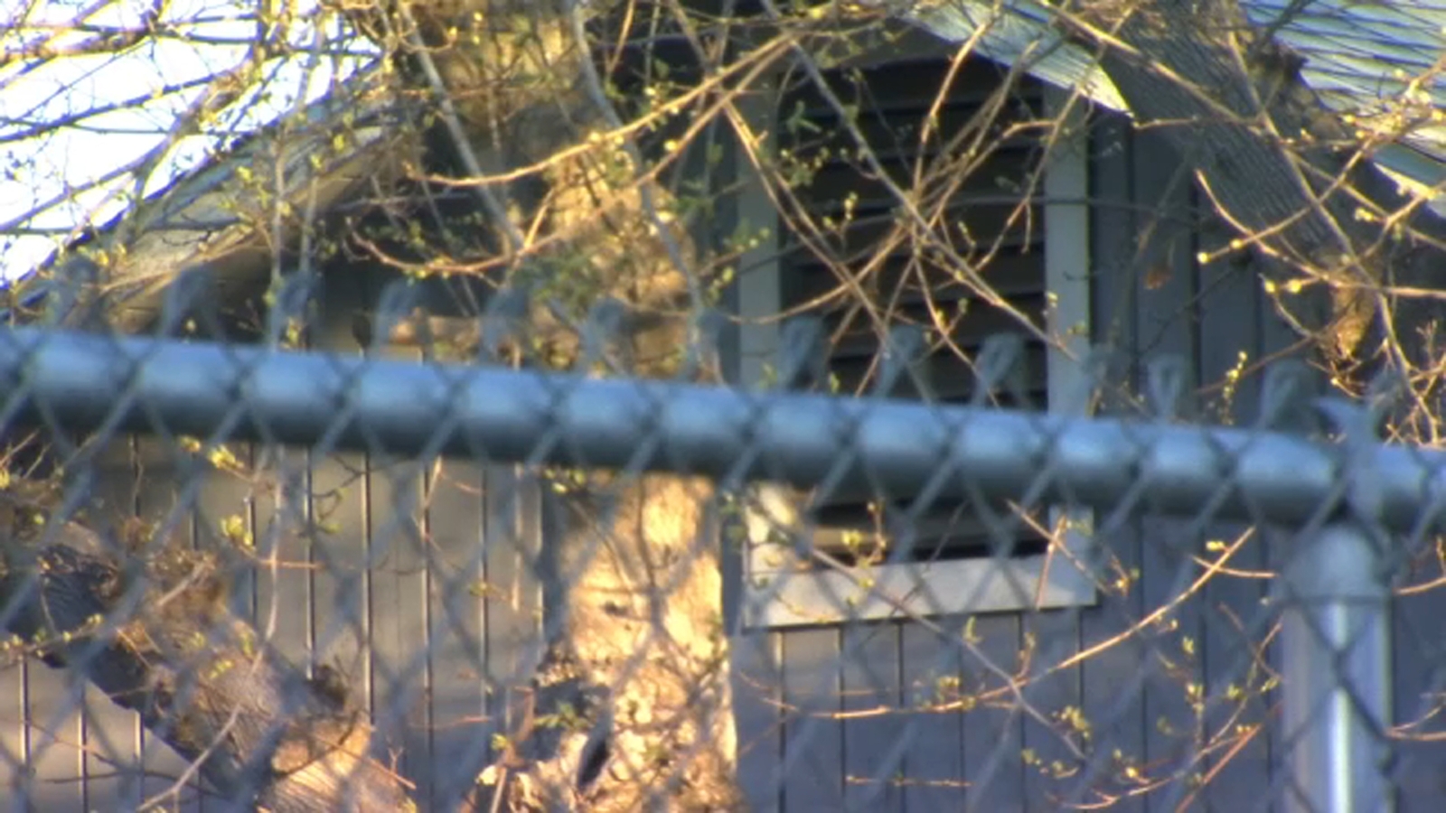 Family displaced after fire breaks out at central Fresno home - ABC30 ...