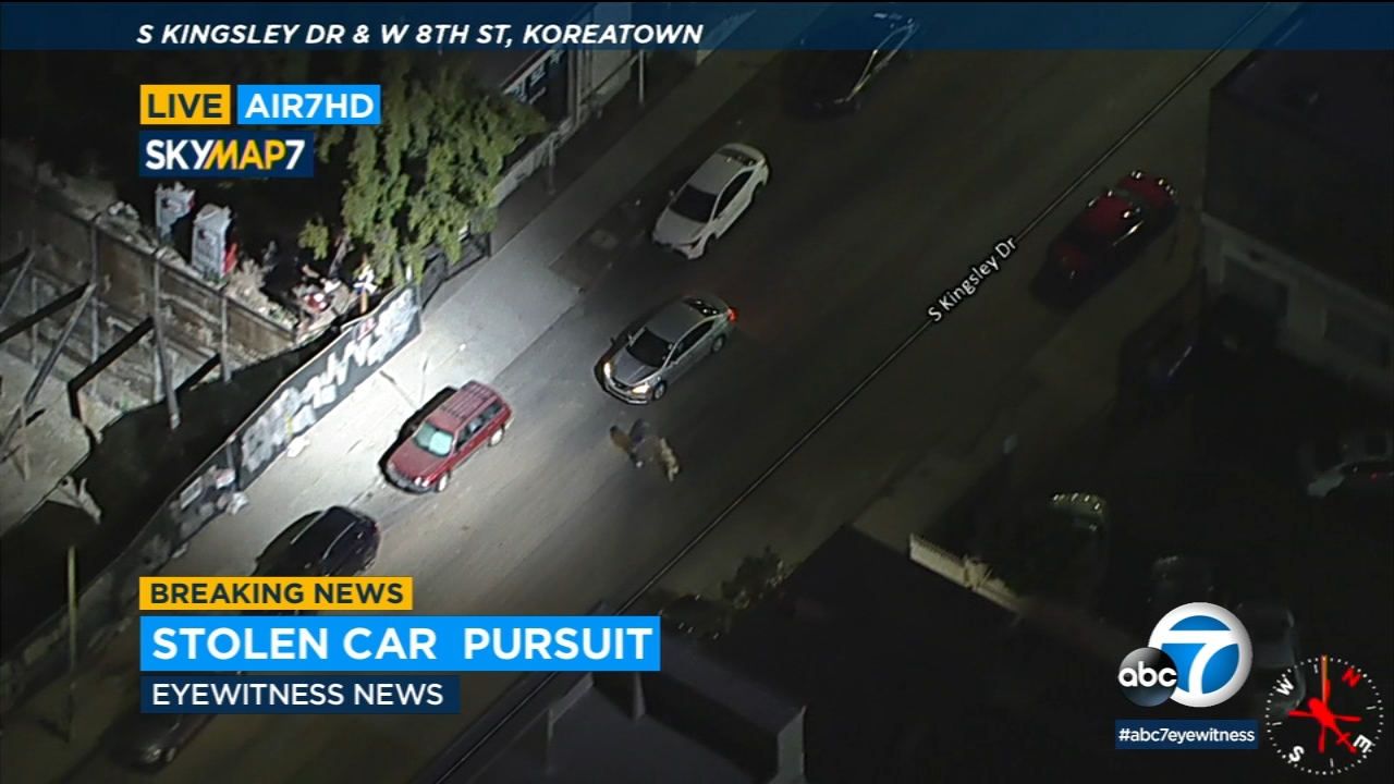Driver almost hits pedestrian, dog during chase in Koreatown