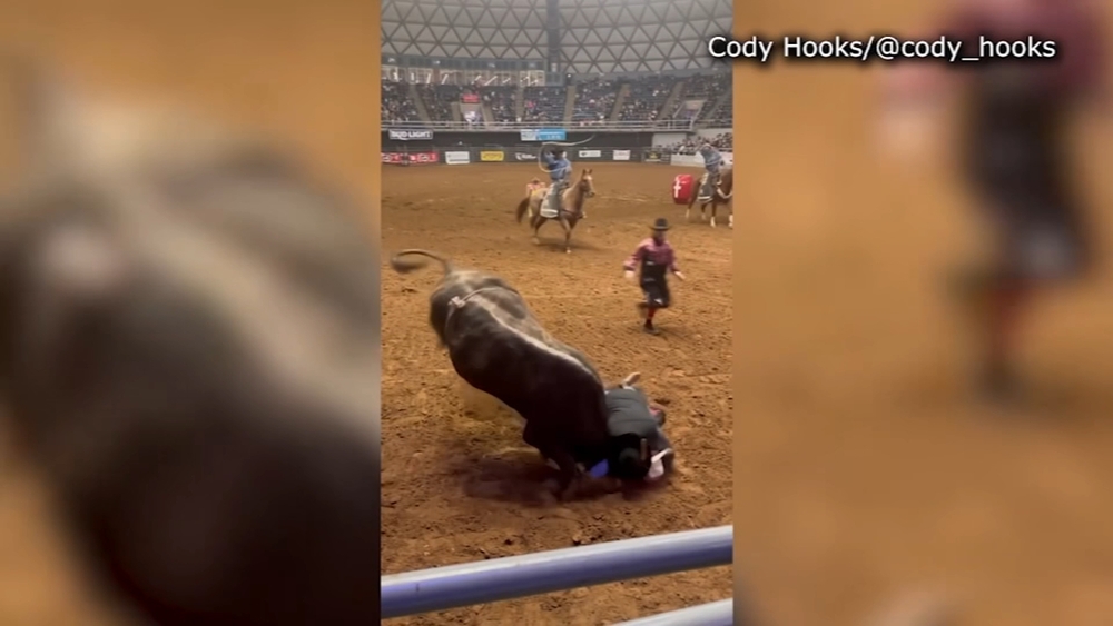 Viral video shows father saving his son after thrown off a bull