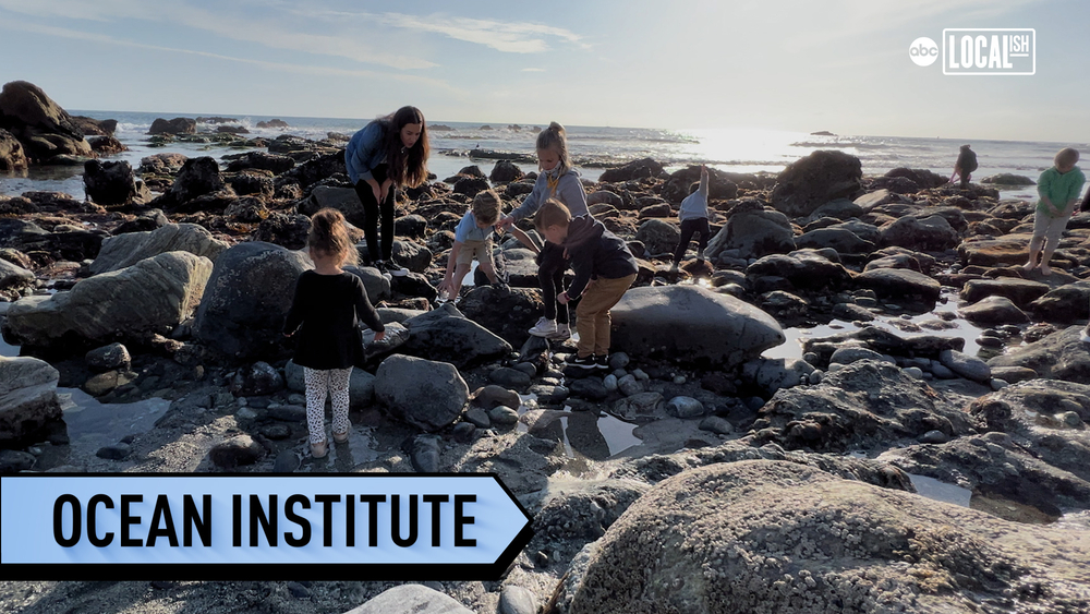 Ocean Institute explores and educates future generations about the underwater world 