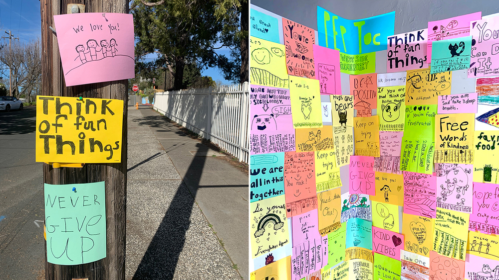 Healdsburg students start 'Peptoc Hotline' to cheer up others