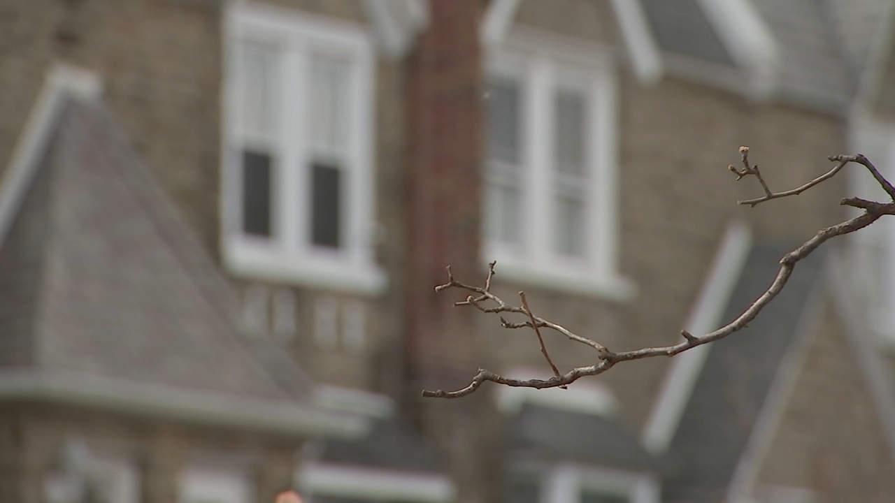 Neighbor describes horrific scene after 2 kids, mom stabbed in Mayfair