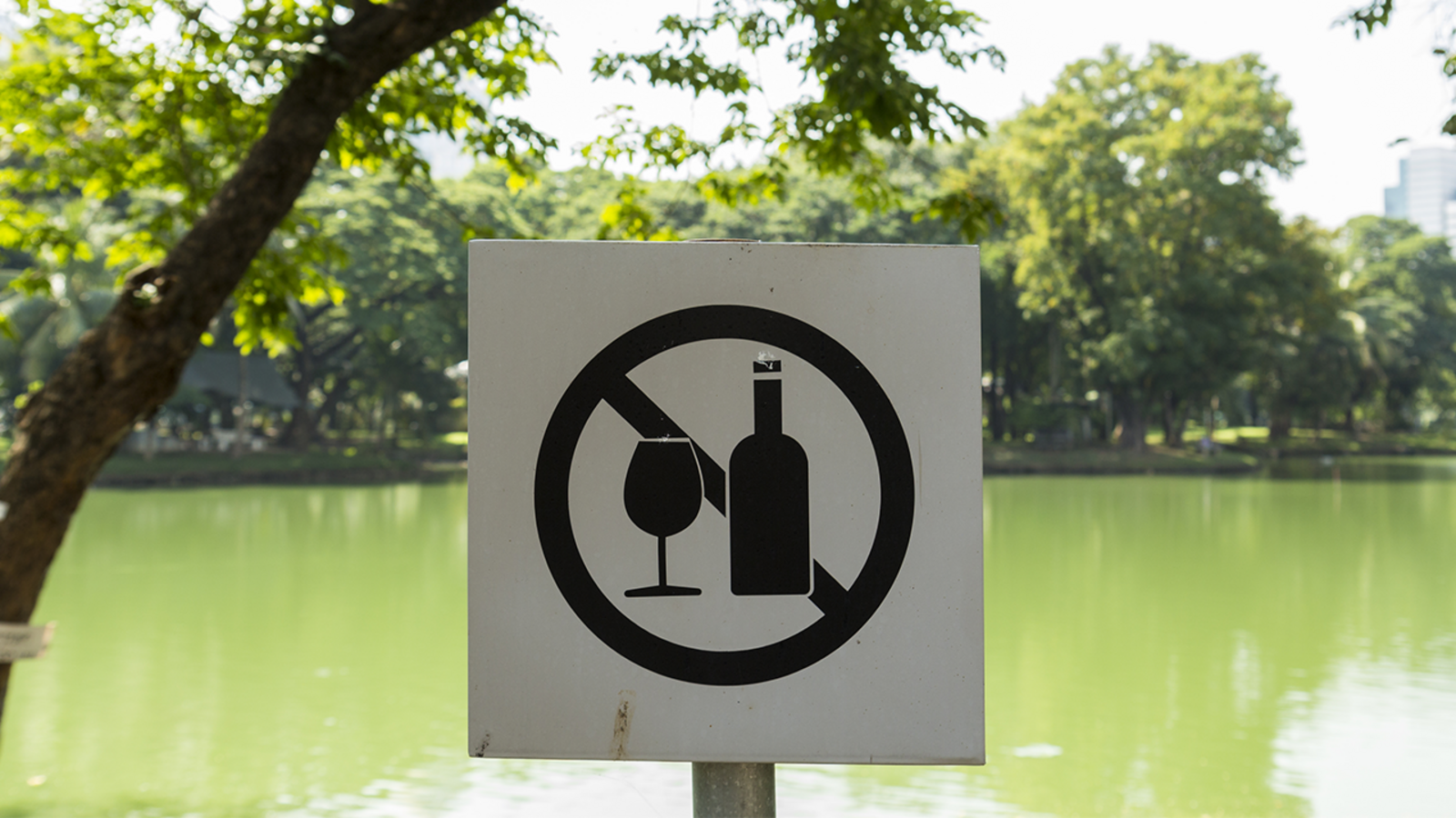 League City City Council approves first reading of ordinance to allow