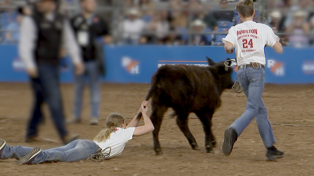 Behind the scenes at the Houston Rodeo's Calf Scramble