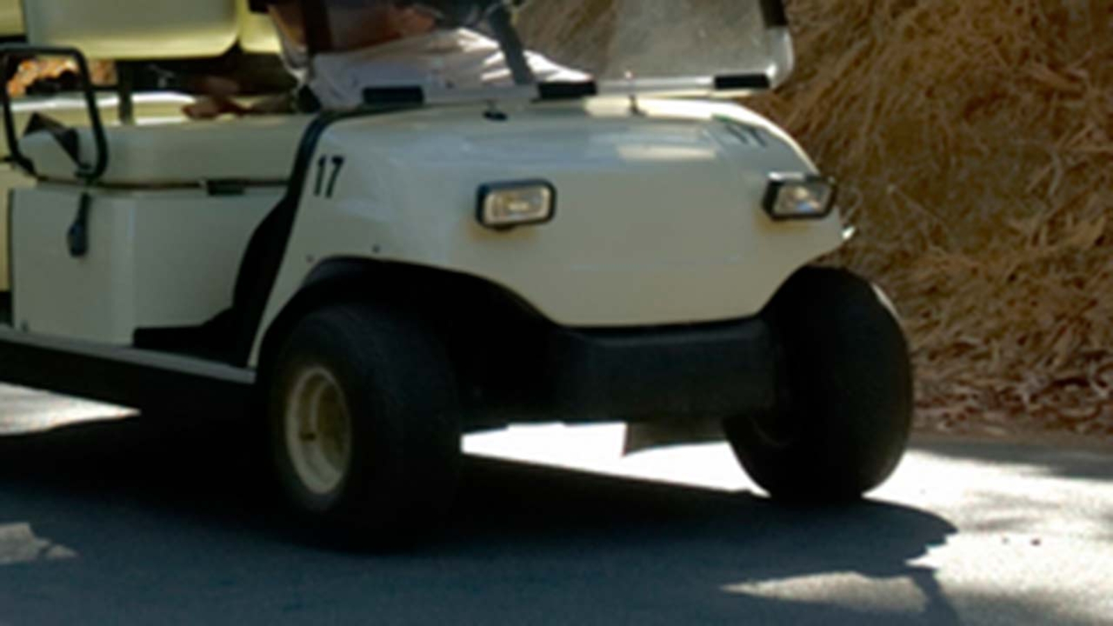 Girl, 6, dies in golf cart accident near Trinity ABC13 Houston