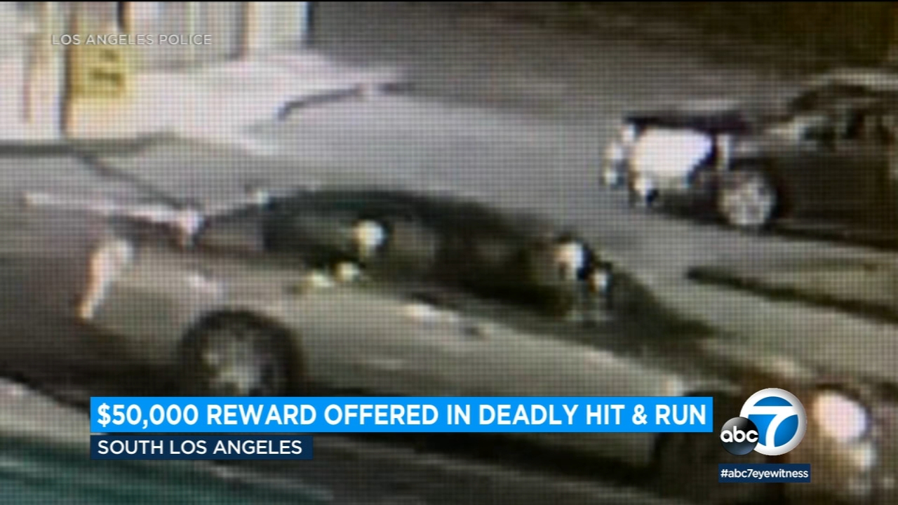 $50K reward offered in deadly South LA hit-and-run that killed father