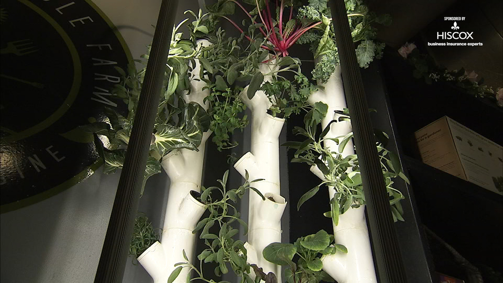 The Sustainable Farm connects people to food they eat