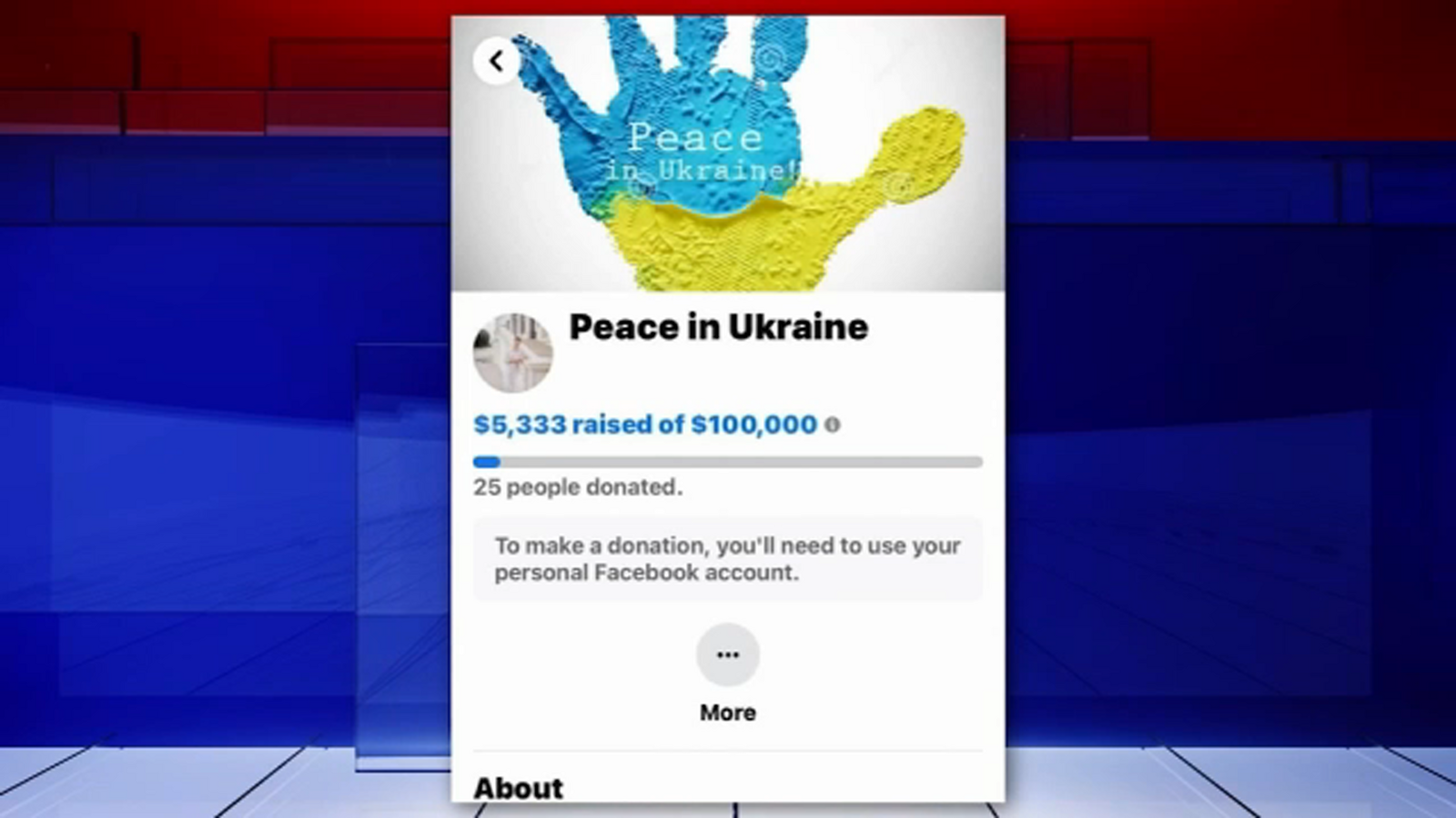 Ukrainian mother and son set up fundraiser in Houston to help refugees
