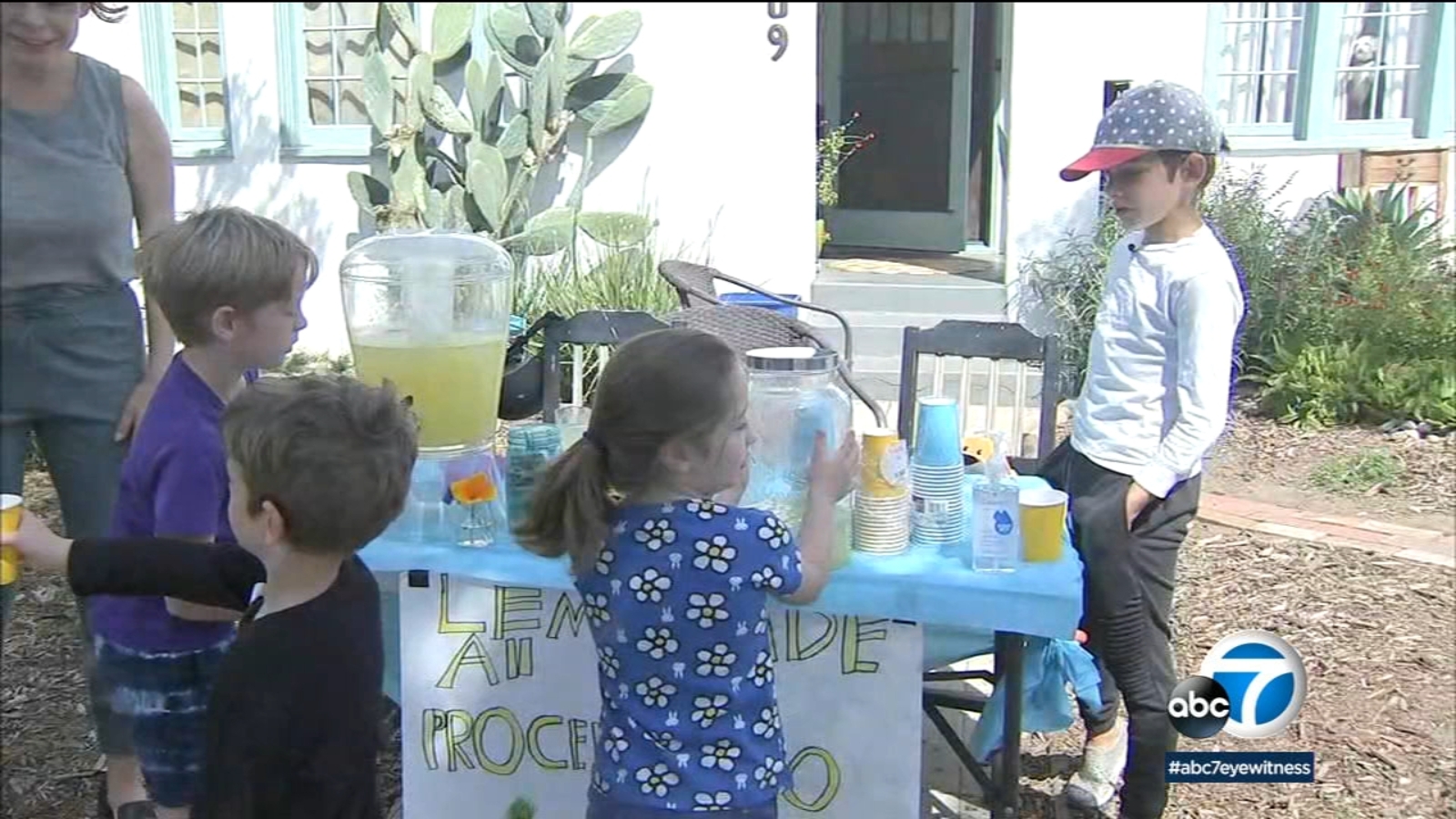 Glendale neighborhood children set up lemonade stand to raise money to