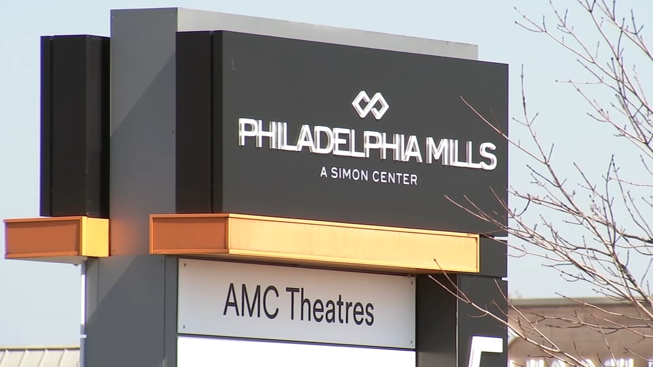 Suspects who carjacked woman at Philly mall linked to other crimes
