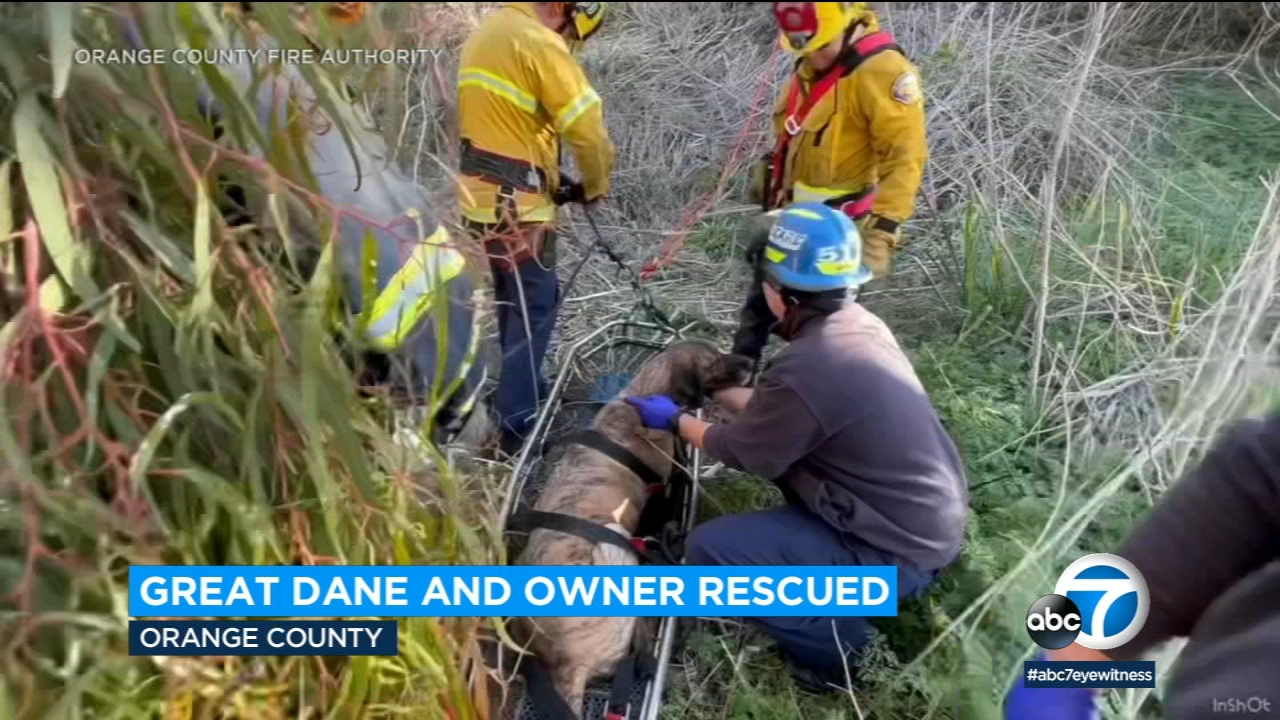 OC man and his dog rescued after becoming stranded on hillside