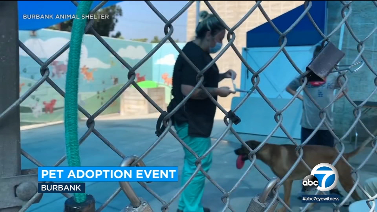  'Tour For Life 2022' mega pet adoption event comes to SoCal