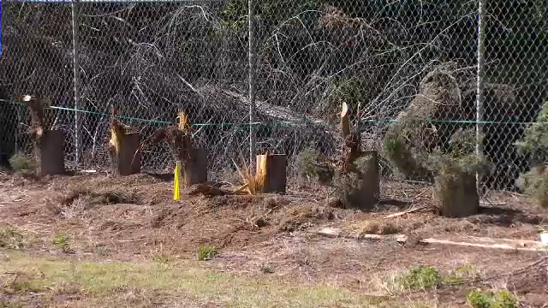 Clovis couple upset after construction crew chops down their trees