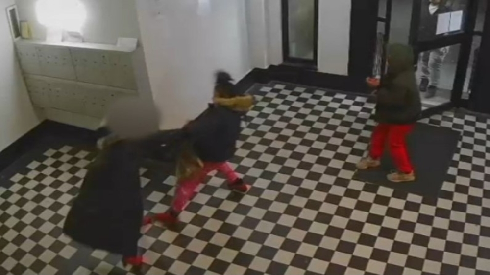 3 sought in attack on elderly woman in Bronx