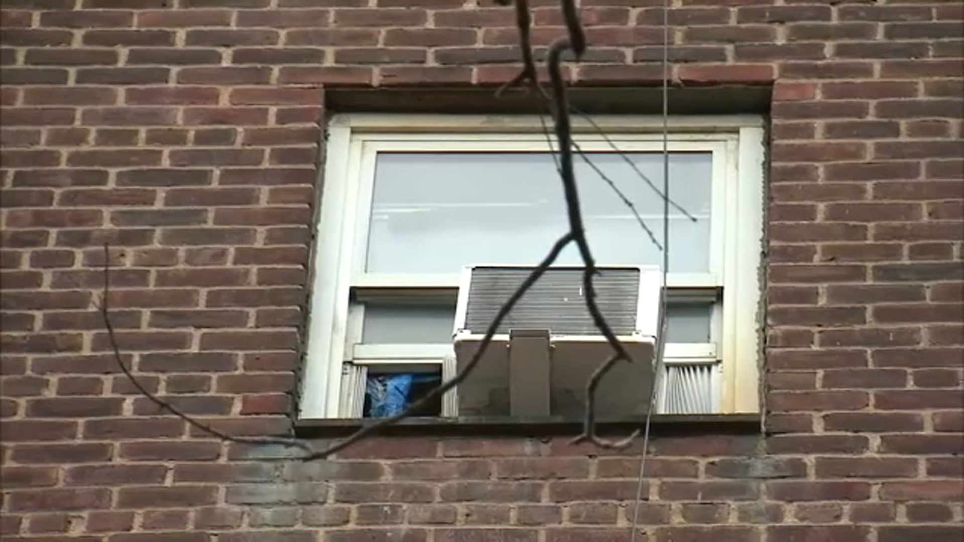 4-year-old boy survives fall out 6-story window in NYC