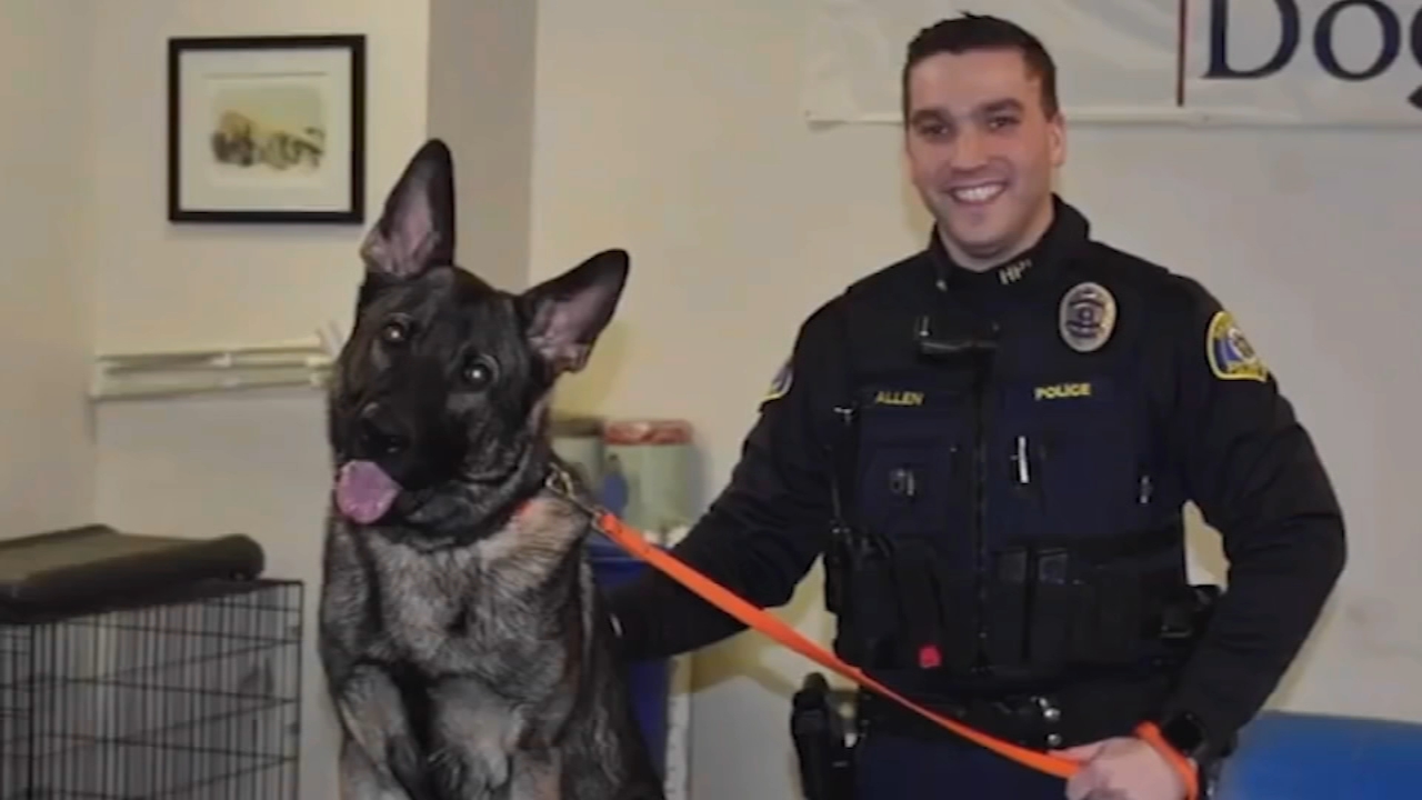 Montco officer passes away after bee sting leads to brain injury
