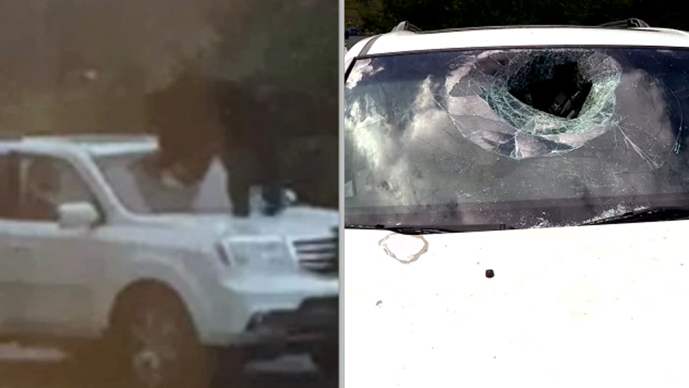 Bear punches its way in to North Carolina family's car