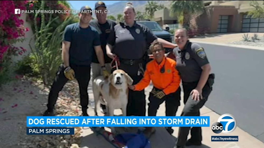 Dog rescued by police after falling into storm drain in Palm Springs