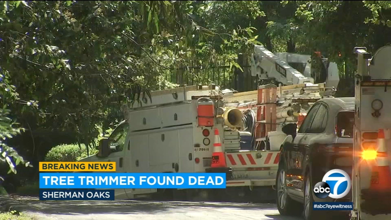 Tree trimmer pronounced dead after being found trapped upside down, 50