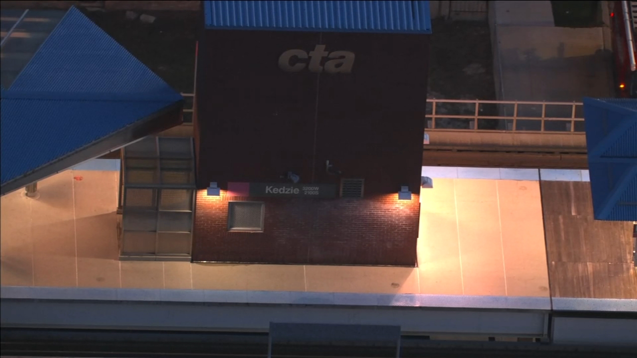 Woman robbed at gunpoint on CTA Pink Line train