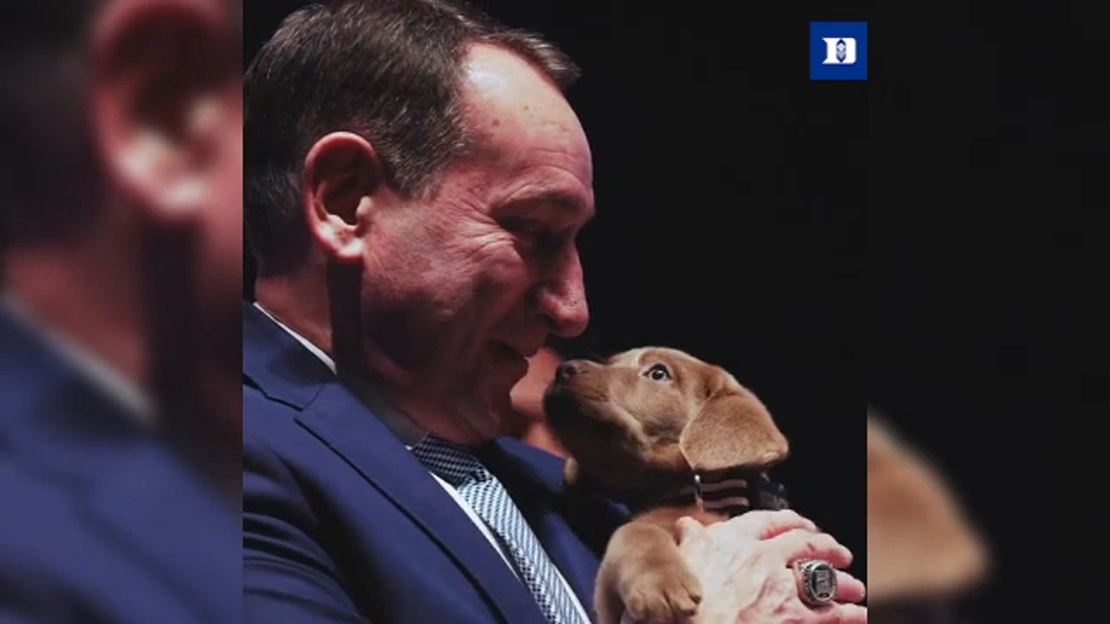 Coach K receives puppy at Duke basketball's endofyear banquet ABC11