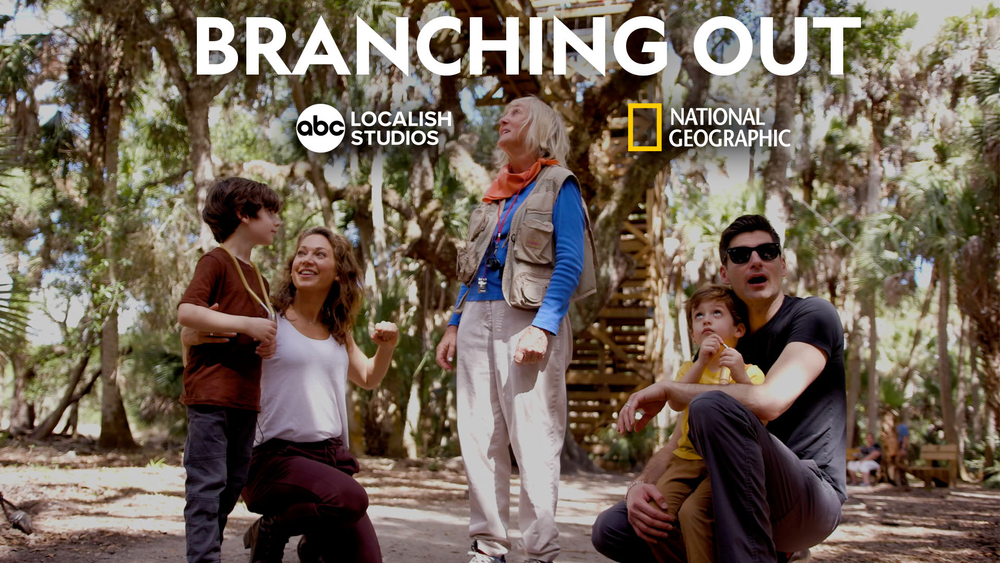 Branching Out: Into the Forests