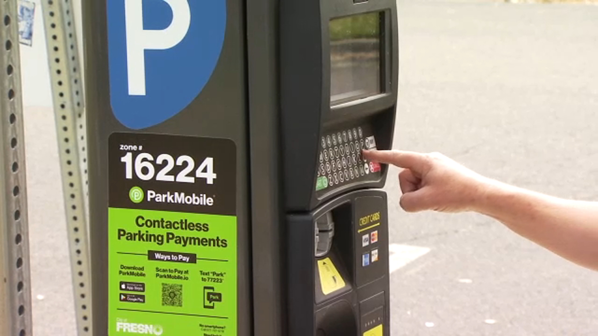 Nearly 19,000 people packed Woodward Park over the weekend for Grizzly Fest ABC30 Fresno