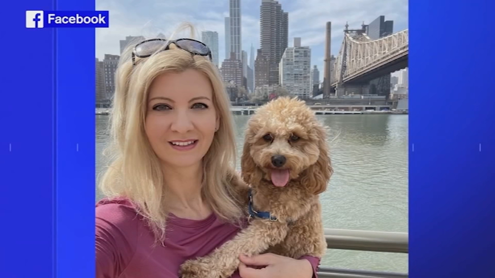 Orsolya Gaal, NY New York woman found in duffel bag stabbed to death